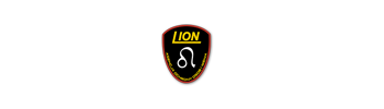 Agencja Ochrony Osób i  Mienia Lion  